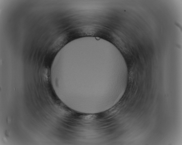 X0000095130122200801041256