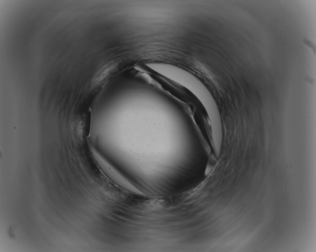 X0000095130124200801041256