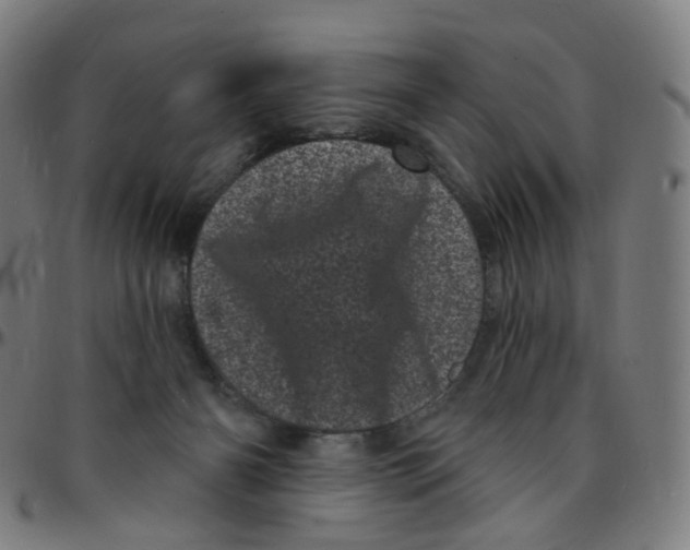 X0000095130126200801041256