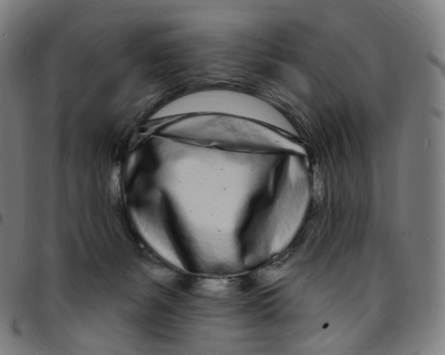 X0000095130127200801041256