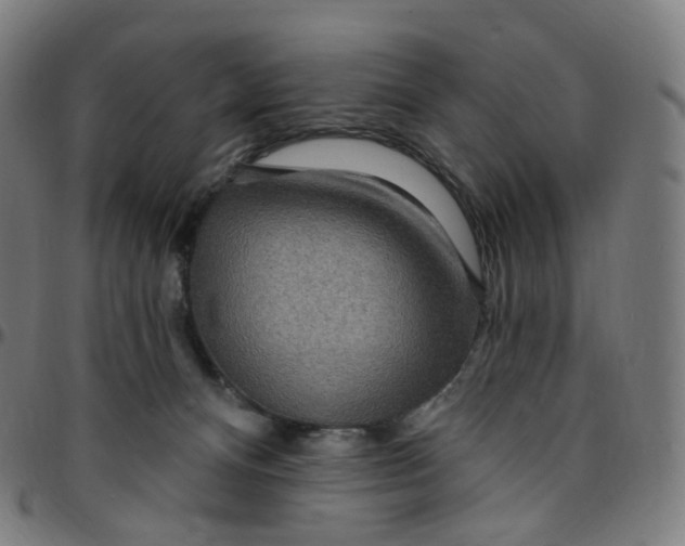 X0000095130128200801041256