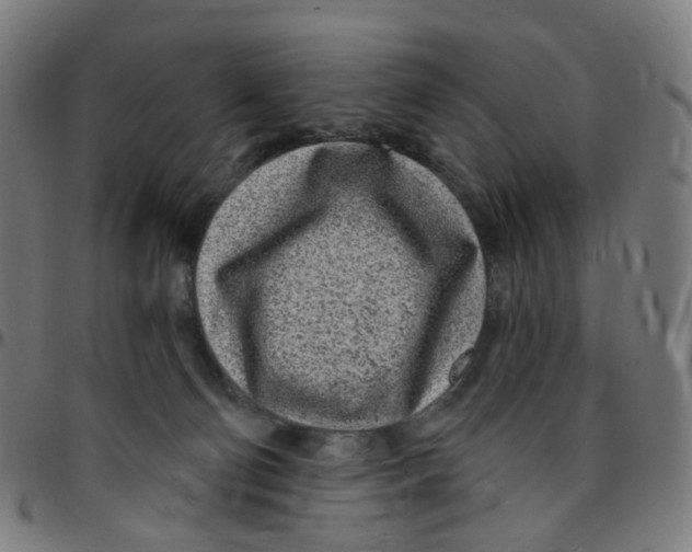 X0000095130130200801041256