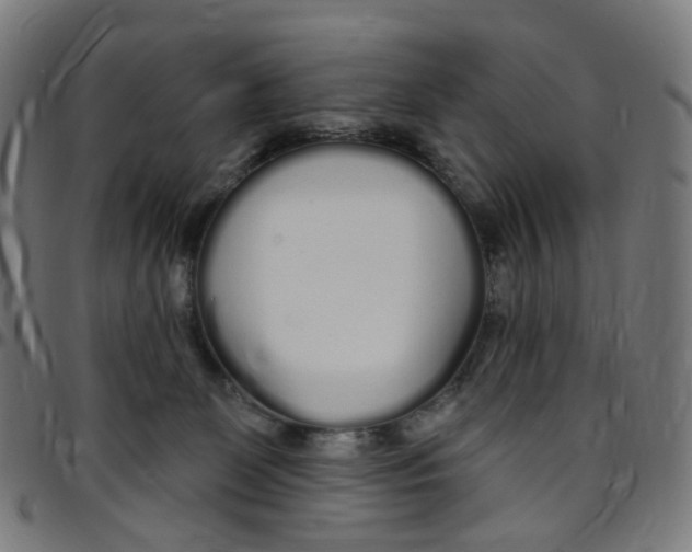 X0000095130131200801041256