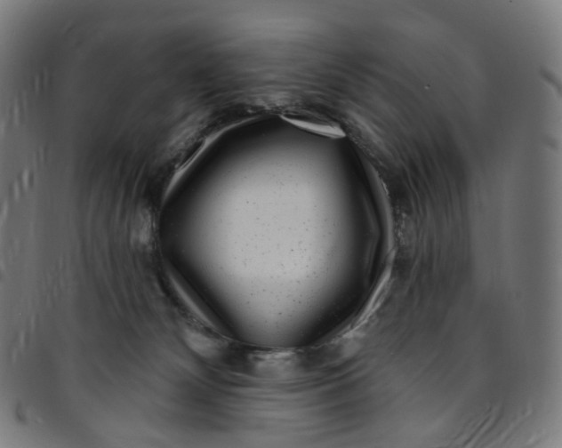 X0000095130132200801041256