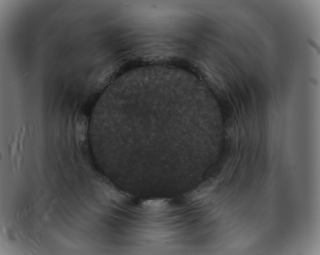 X0000095130133200801041256