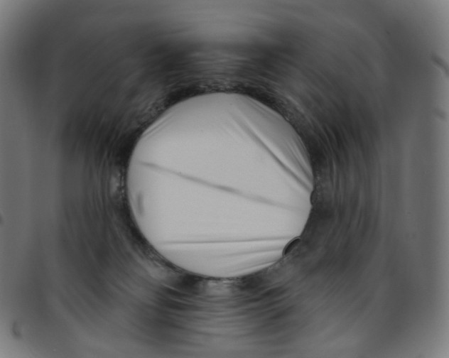 X0000095130134200801041256