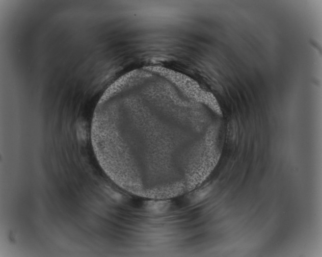 X0000095130135200801041256