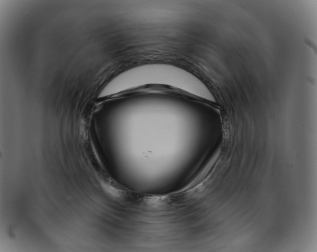 X0000095130136200801041256