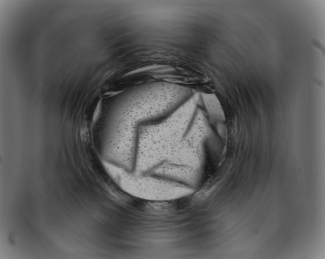 X0000095130137200801041256