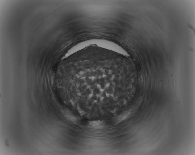 X0000095130139200801041256