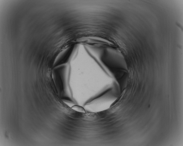 X0000095130141200801041256