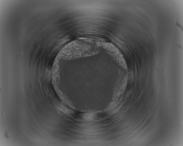 X0000095130142200801041256