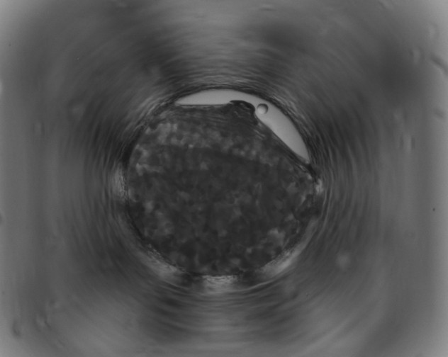 X0000095130143200801041256