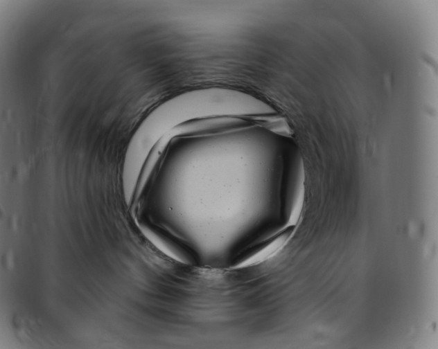 X0000095130144200801041256