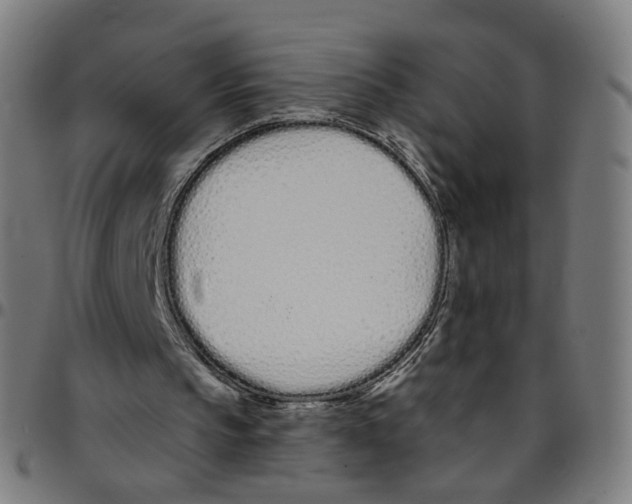 X0000095130145200801041255