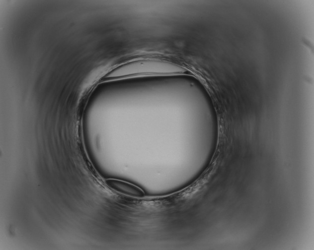 X0000095130149200801041255