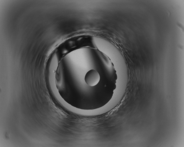 X0000095130150200801041255