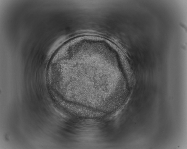 X0000095130151200801041255