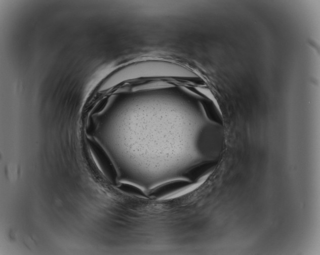 X0000095130152200801041255