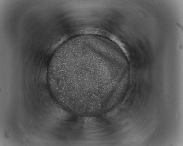 X0000095130153200801041255