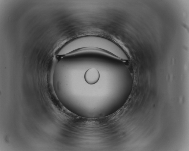 X0000095130154200801041255