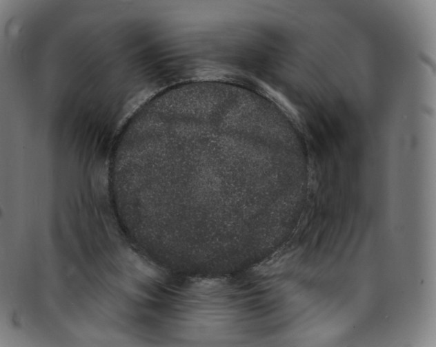 X0000095130155200801041255