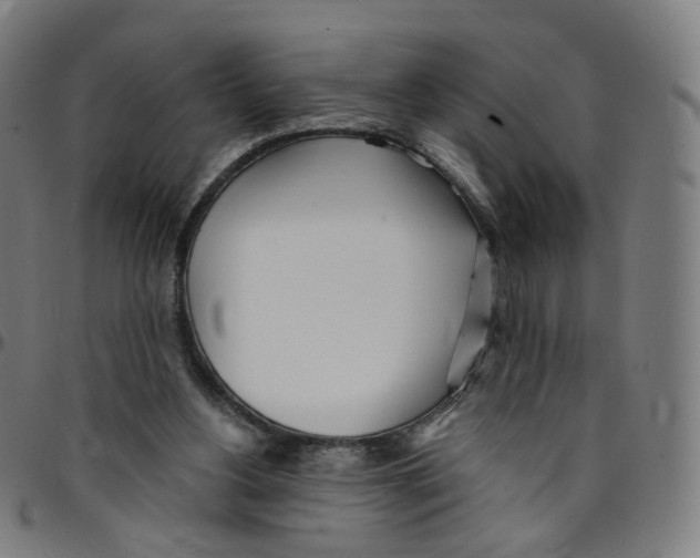 X0000095130156200801041255