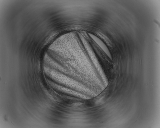 X0000095130158200801041255