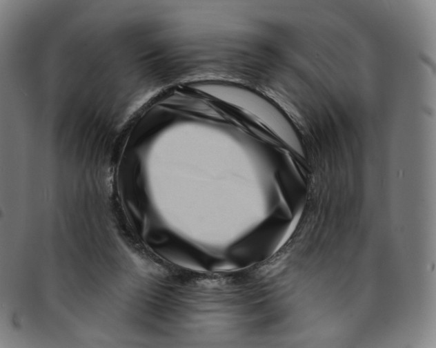 X0000095130160200801041255