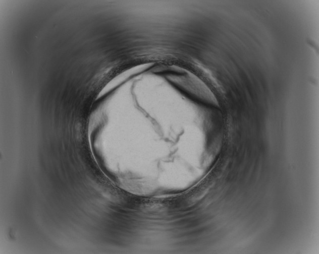 X0000095130161200801041255