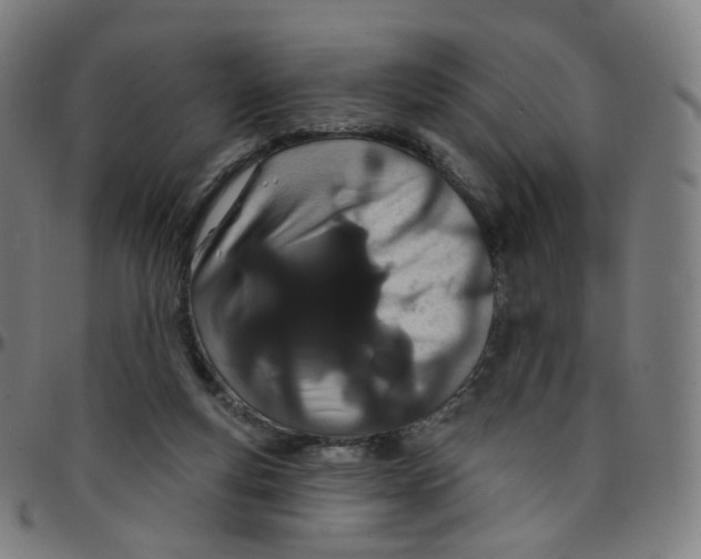 X0000095130163200801041255