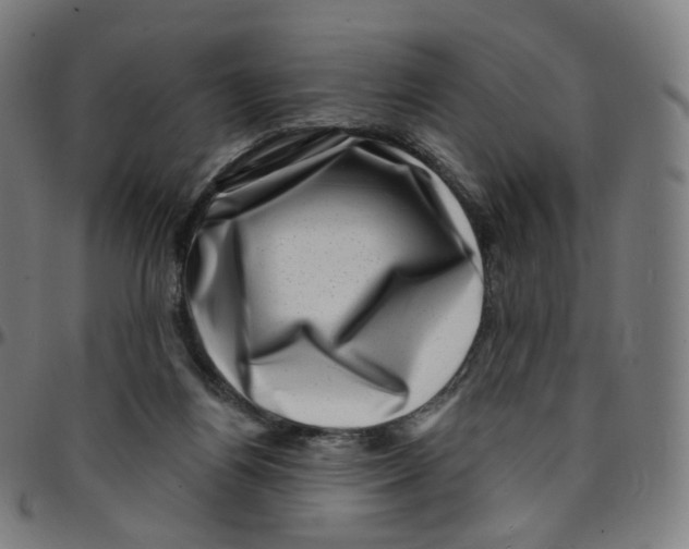 X0000095130164200801041255