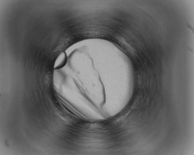 X0000095130165200801041255