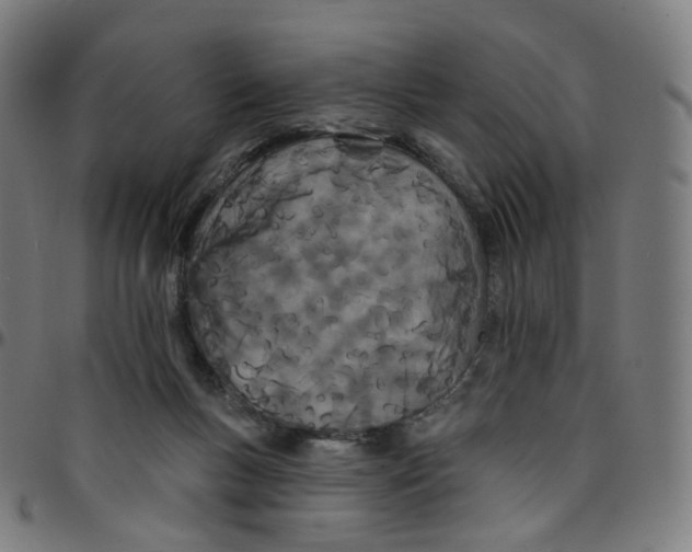 X0000095130167200801041255