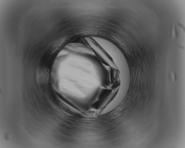 X0000095130168200801041255