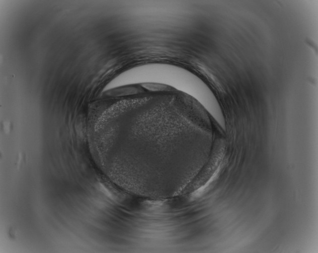 X0000095130170200801041255