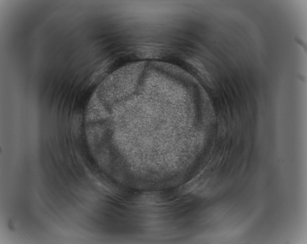 X0000095130171200801041255