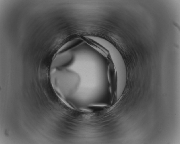 X0000095130172200801041255