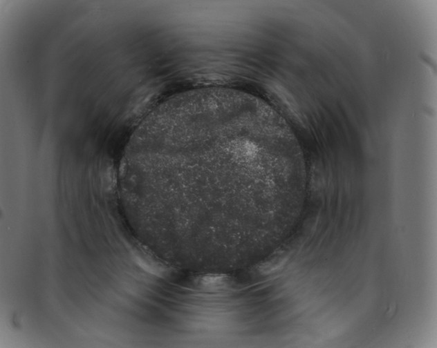 X0000095130173200801041255