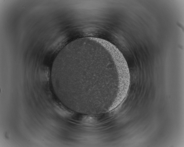 X0000095130174200801041255