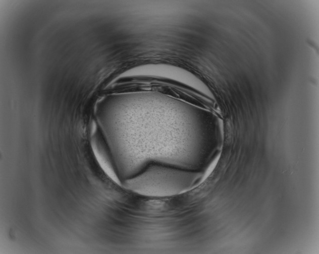 X0000095130176200801041255