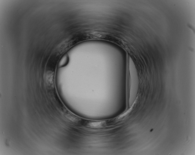 X0000095130178200801041255