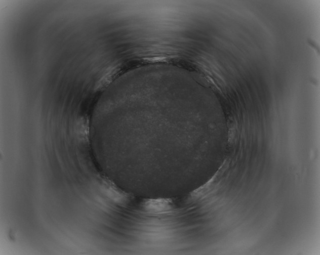 X0000095130179200801041255