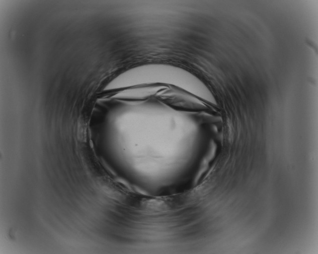 X0000095130180200801041255