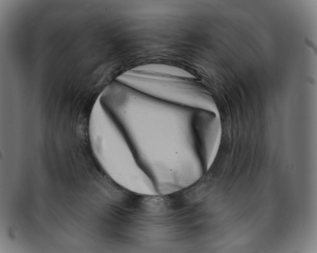 X0000095130181200801041255