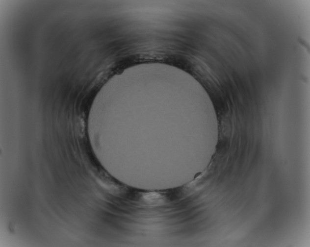 X0000095130183200801041255