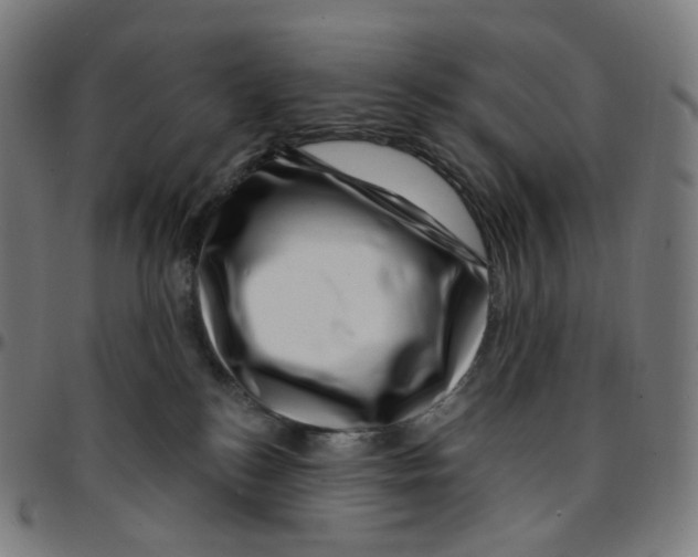 X0000095130184200801041255