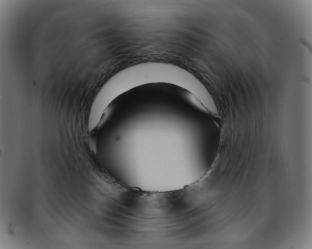 X0000095130186200801041255