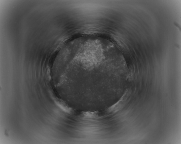 X0000095130187200801041255