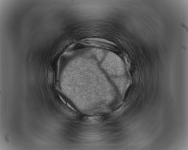 X0000095130188200801041255